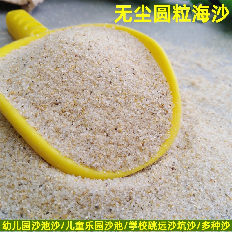 水洗白海砂上海儿童游乐园海沙白沙沙画用细沙学校跳远沙厂家直发