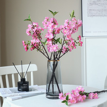 ���W�����֦�ѻ� �Ҿӿ͏d��c�bl��֦��ܛ���������b��һ�