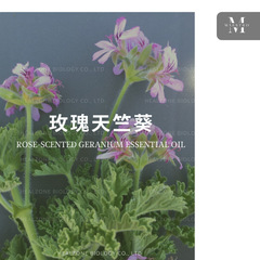 (エジプト) 薔薇ゼラニウム【産地直供 + アルコール郁香甘 + 黄金色油液】