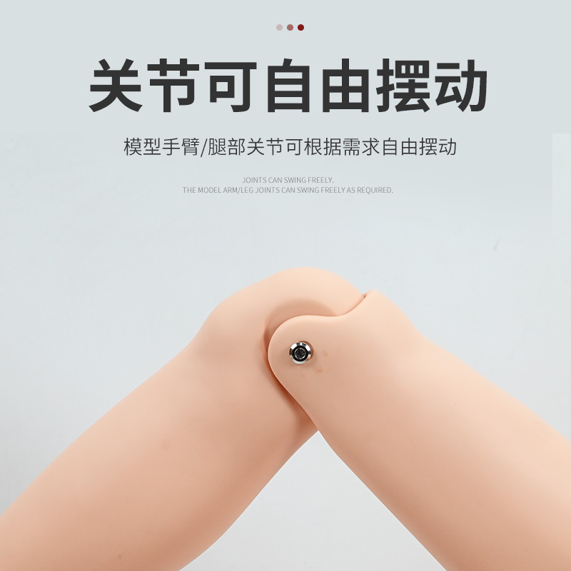 �߼��๦�ܻ���ѵ��ģ���˴���ֹѪ����������������ѵ��ģ����Ů