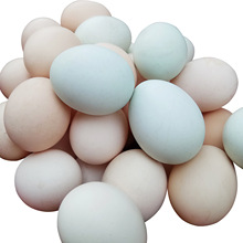 ɽ��ɢ�B�r�����u�����r���u�����ò��u���������u�����l