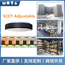 ��ɫ߅��LED��픟�14����ɫ�ؿ��{��120&deg;ETL�J�C���Q�����컨��