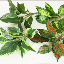 ����Gֲ10�^�G�}�f����ާ���С����ֲ��b��ָоGɫ�~��