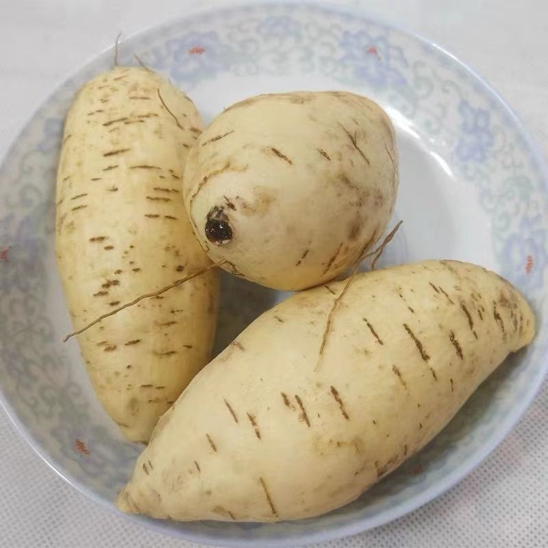 7550bc4d-c530-42d4-942e-77e510a95105.jpe