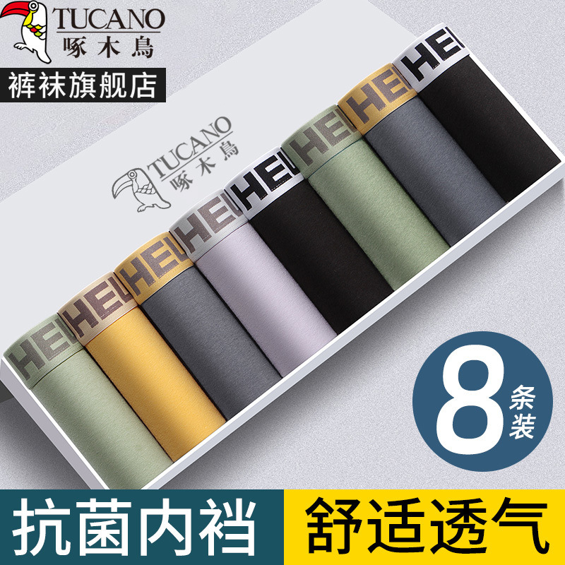 [항균 8팩] HELLO+HELLO