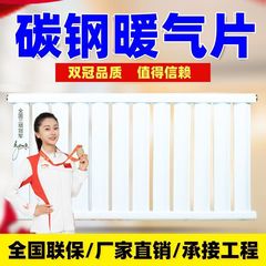 厚い炭素鋼の暖房の切れの家庭用の水のストーブの壁掛け式の石炭のガスを変える工事の水の暖房のラジエーターの壁はストーブを掛けて暖を取ります。