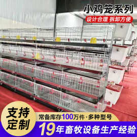 育雏鸡笼设备厂家供应多层小鸡笼子蛋鸡育雏笼子加粗加密雏鸡笼