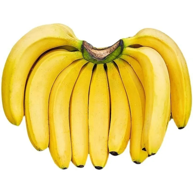 威廉斯香蕉高山甜蕉當季新鮮水果軟糯香甜芭蕉芝麻大香蕉壹件代發