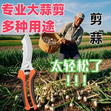 �����r�øɝ�����������⌣�ü��Ӻ��������[���[������@ˇ��U