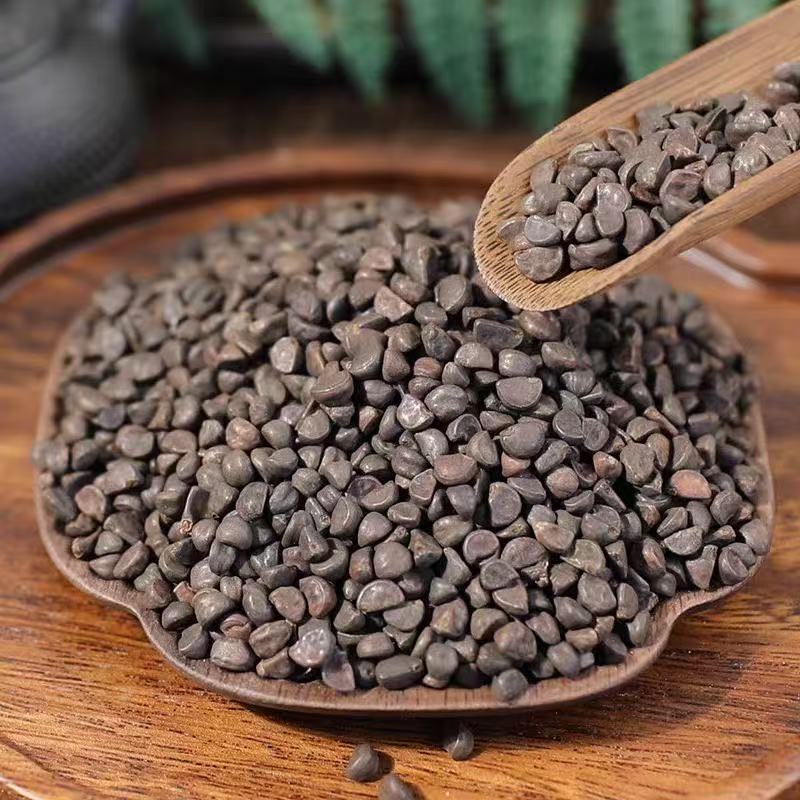 Black Morning Glory Seed Powder Hei Chou Qian Niu Zi Fine Ground Herbal Powder 500g in use