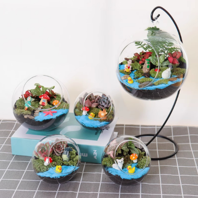 Warm field moss fleshy micro landscape ecological glass bottle creative green plant diy material bag ornaments activity suit