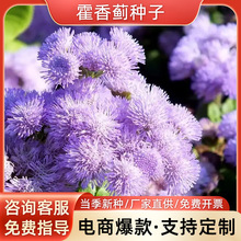 EN{޽Eļ׷N̨ͥԺԻܻN