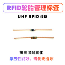 RFID管理盘点追踪记录仓储出入库18000-6C协议植入式弹簧轮胎标签