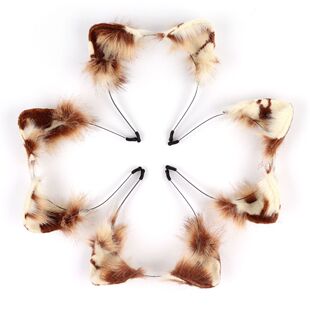 ��������؈β�ͫF�b�ɐ۰l��JK����F��؈���l�AKC؈��COS