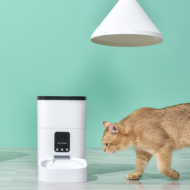 嘟嘟新款6L宠物喂食器升级版智能远程投食视频版猫咪狗定时投食器