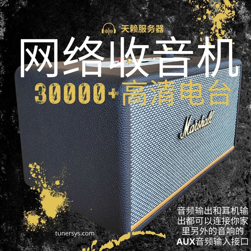 2025新款收音机马歇尔三代高端音响蓝牙播放跨境爆款ACTON3音箱|undefined