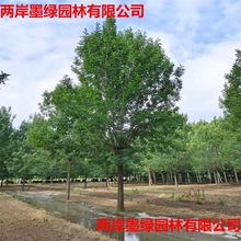 lϞСϞе Ϟľ10-25ҎRȫ