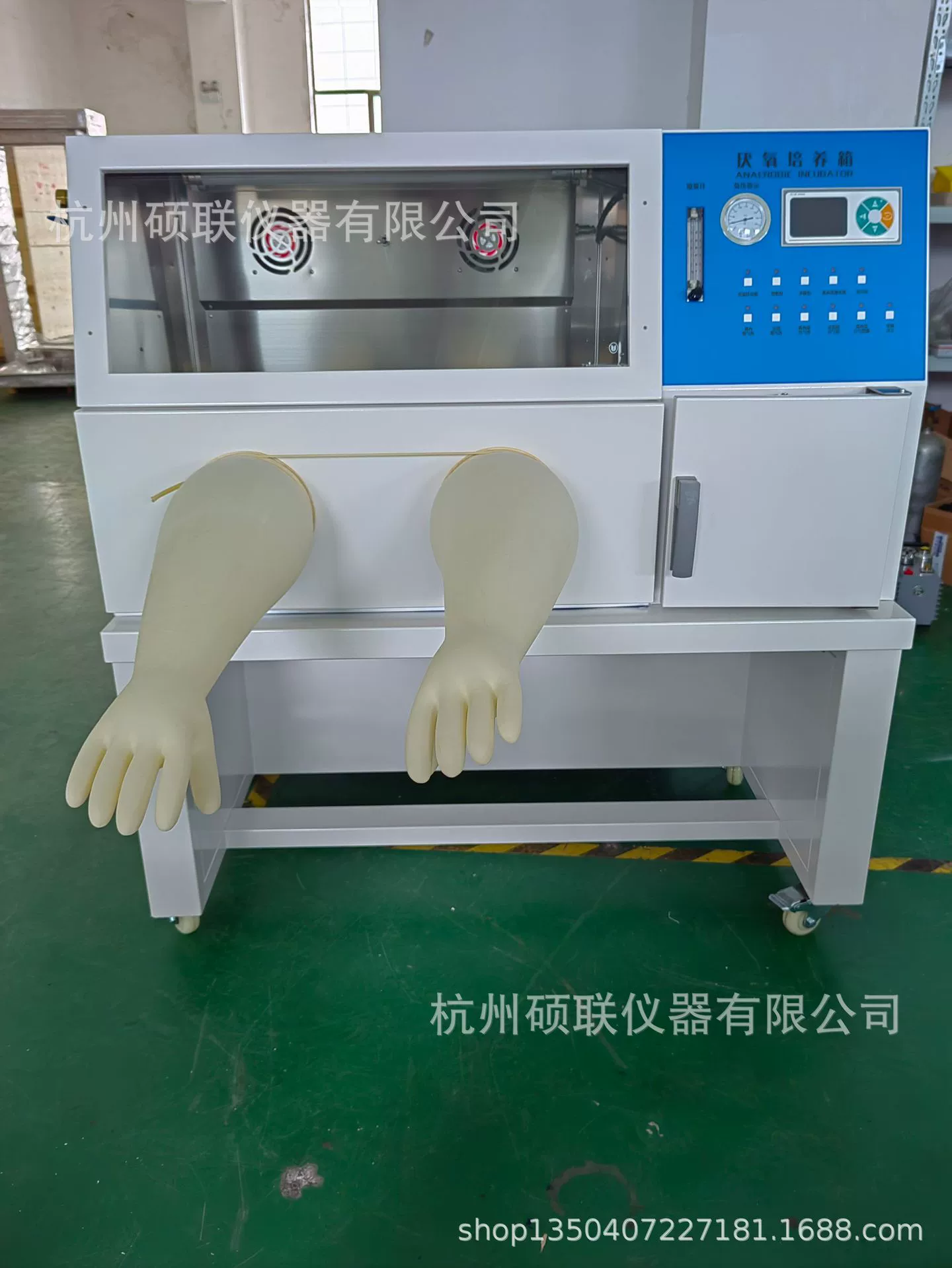 Интеллектуальный анаэробный инкубатор с постоянной температурой, широкое применение, многофункциональная Анаэробная рабочая станция