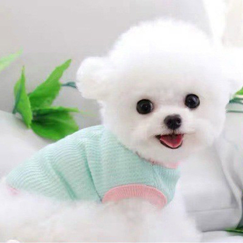 Жилет для собак и кошек Walfje Vest Pet летний универсальный