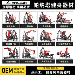 パナタフィットネス機器 胸筋トレーニング、背筋トレーニング、脚伸ばし、股関節外転、スクワット、ヒップブリッジ、脚伸ばし、ローイングトレーニング機器