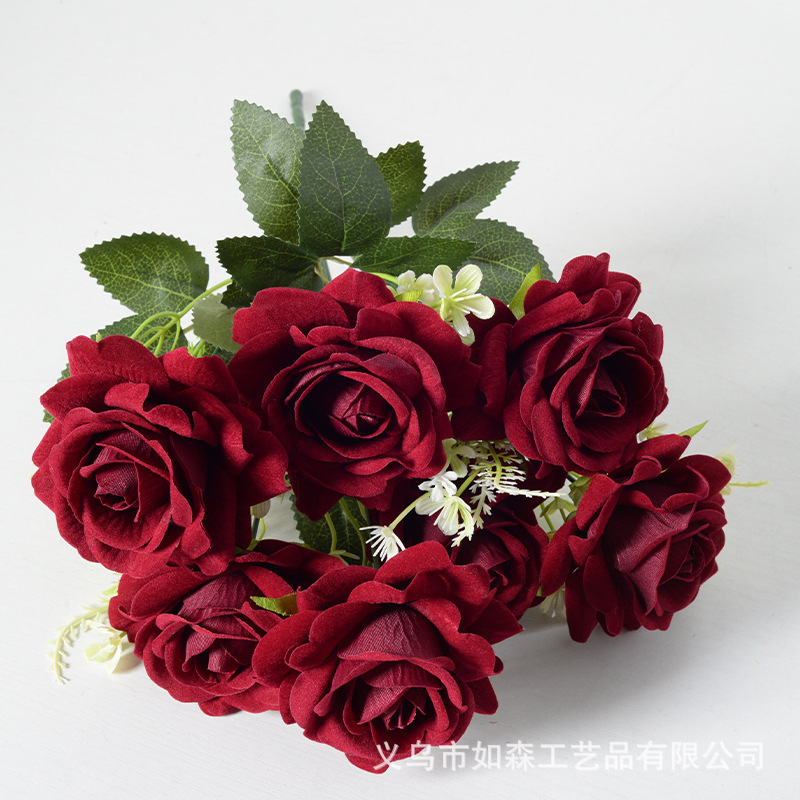 7 cabezas Aisha Rose Red