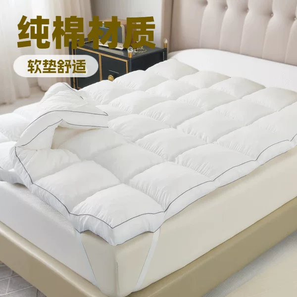 Down Mattress Five-Star Hotel Winter Thickeneded Double-Layer Warm Mattress Cushion White Goose down Hilton Cushion