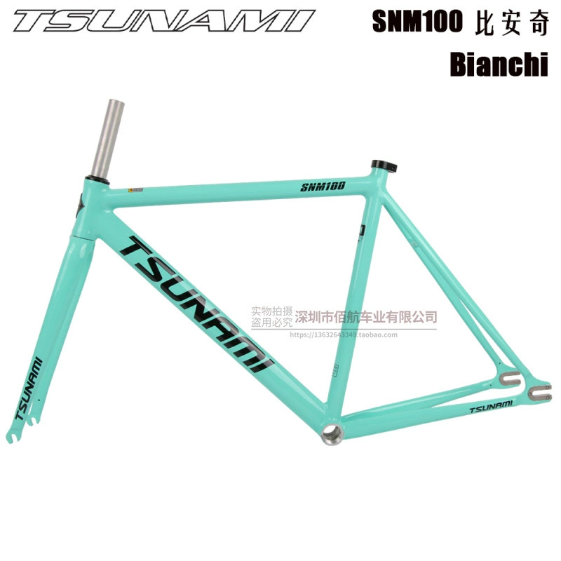 TSUNAMI Tsunami Summy SNM100 Pioneer Dead Flying Aluminum Alloy Racing Site Bicycle frame