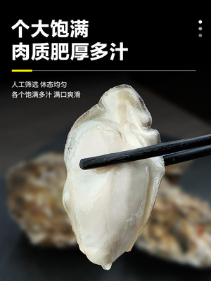 生蚝大量批發順豐包郵乳山鮮活帶箱5斤牡蛎海鮮貝類帶殼海蛎子