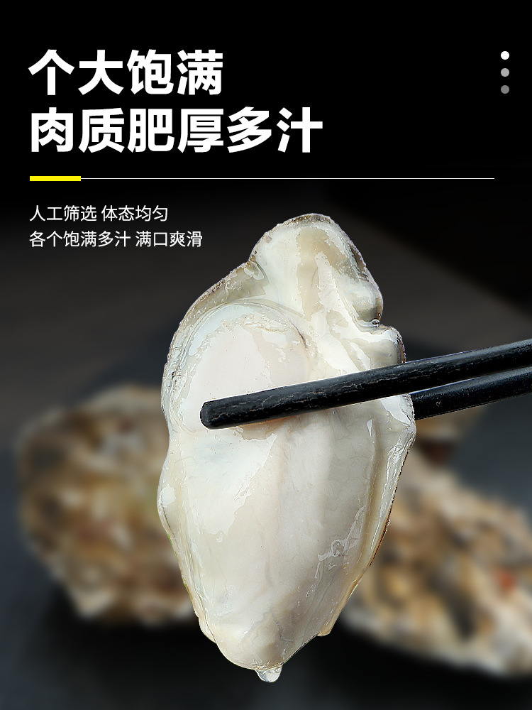 Oysters Of large number wholesale Shunfeng Rushan Vivid 5 Oyster Seafood Shellfish Oyster