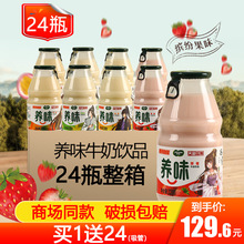 24瓶整箱 養味牛奶草莓香蕉批特價兒童學生乳酸菌甜奶早餐飲料品