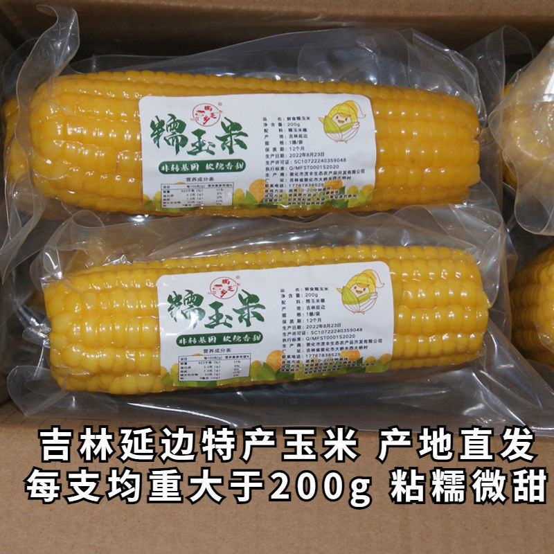 찰옥수수【5개입】