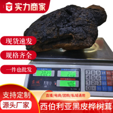 桦树茸500g长白山野生黑金颗粒食品养生包邮包装散装量大批发营养