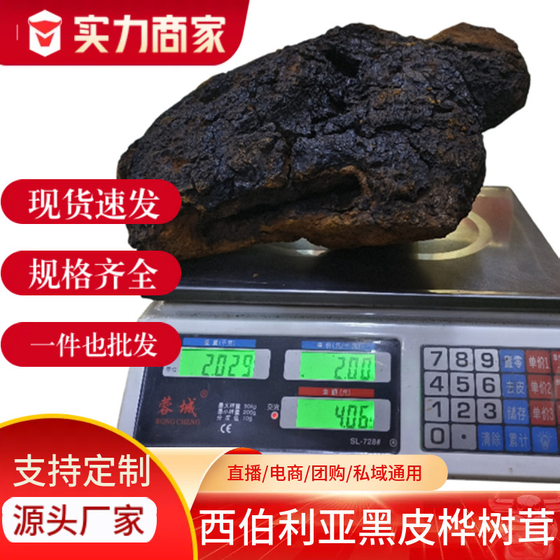 Chaga 500 グラム長白山野生ブラックゴールド顆粒食品健康送料無料包装バルク大量卸売栄養|undefined