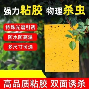 Yellow Sticky Trap Double-Sided Fly Trap for Orchards, Fruit Fly Trap, Greenhouse Fly Killer, Strong Fly Paper
