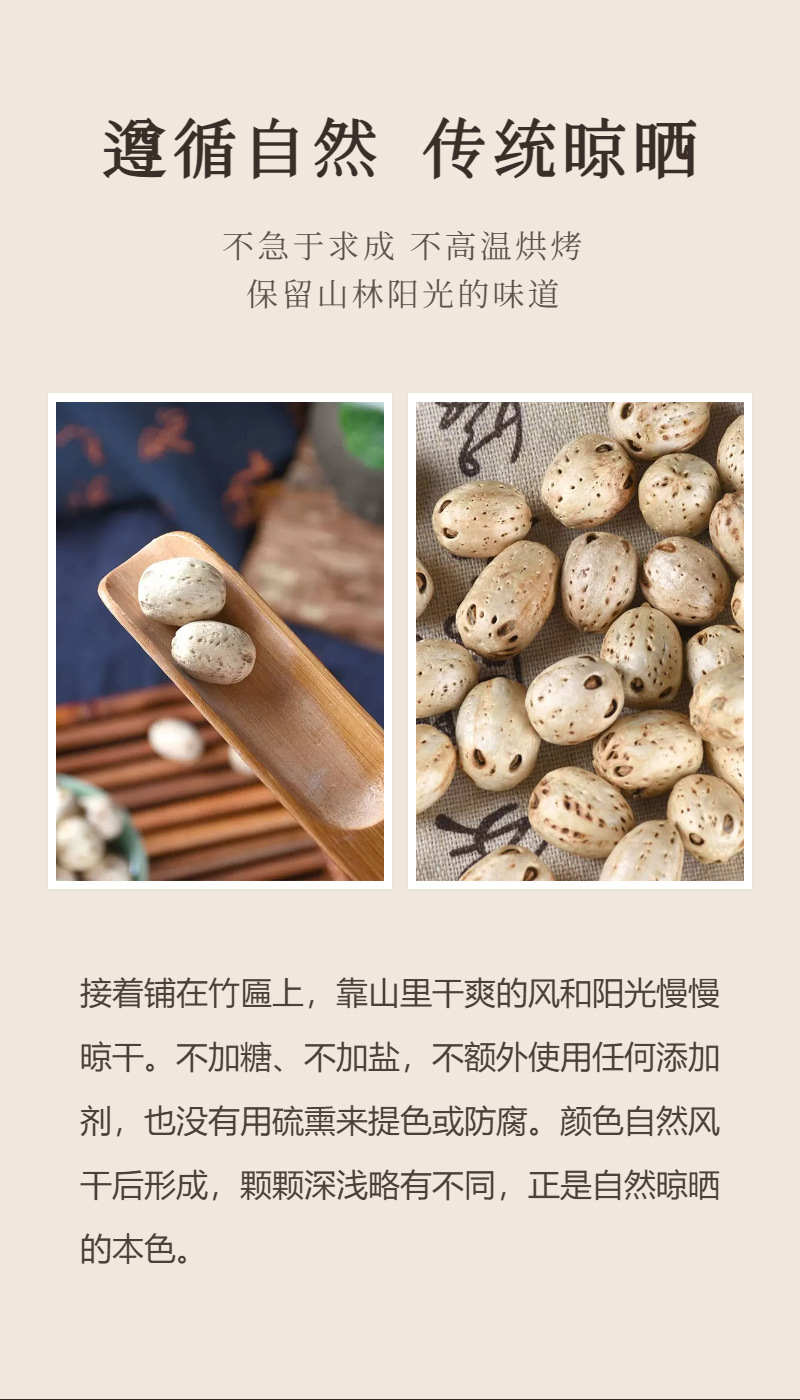 Wu Yan Guo (Choerospondias axillaris) — Dried South Wild Jujube Pit for Tea & Herbal Soaks, 250g specifications
