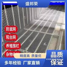 厂家直销小鸡阳台网防坠网鹅塑料网养殖网围栏网育雏鸡笼防
