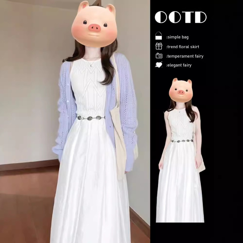 Early Autumn Wear 2025 New Women's French Sleeveless Vest White Dress Women's Design Long Skirt Suit