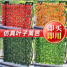 ��s�h�ʻ��@ͥԺ�̨�ř��b���G�~ֲ�����ڸ��໨�ܷ���