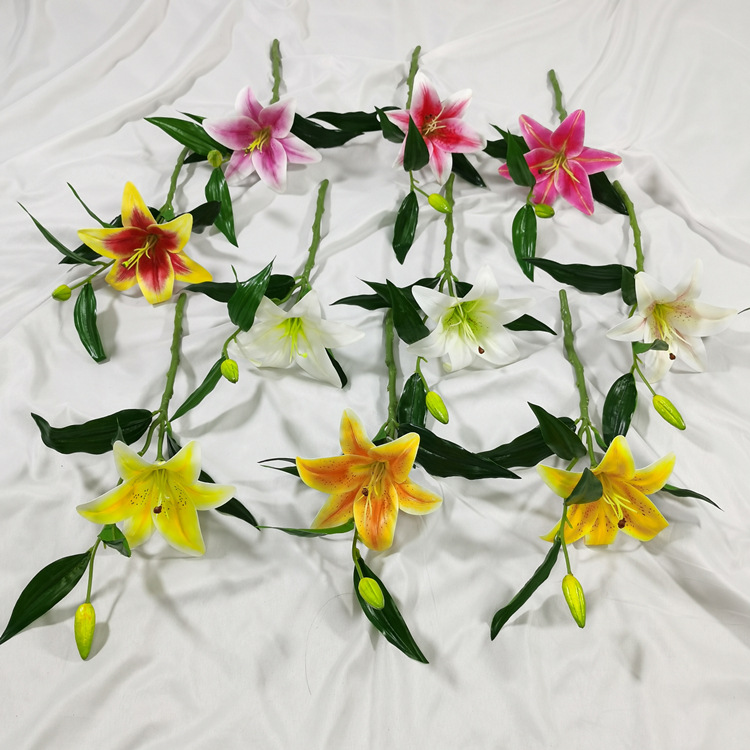 IMG_20220212_115518_副本