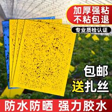 �S���p��ճ�x���E�R���N�S�{�w�xС���w���@մ��ω�T����ճ�����