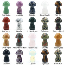 ��Ȼˮ����Ģ��35mmĢ��DIY΢���^ɭϵ�쾰���@�����b[��