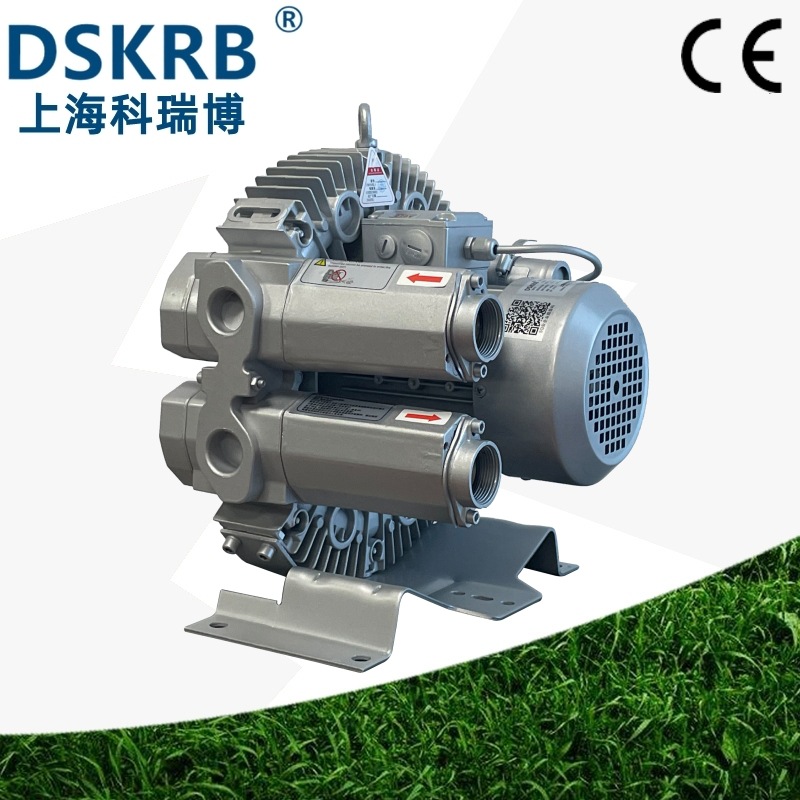 4RB610H16 2.2KW污水净化槽曝气风机 2200W高压环形气泵 气环泵