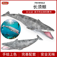 仿真海洋动物模型儿童软胶长须鲸大白鲨虎鲸白鲸蓝鲸海豹玩具摆件