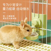 洁西兔子水壶兔饮水器挂笼子出水碗喝水兔兔用品龙猫荷兰猪喂水器