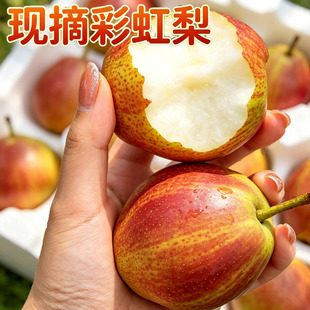 �^��ʺ�����4.6-5.2�����������������î������rˮ���a��ֱ�l