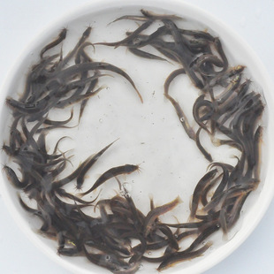 ���q���r��ι�B������~���~���D����������q�Bֳ��ˮ�^�p�~���