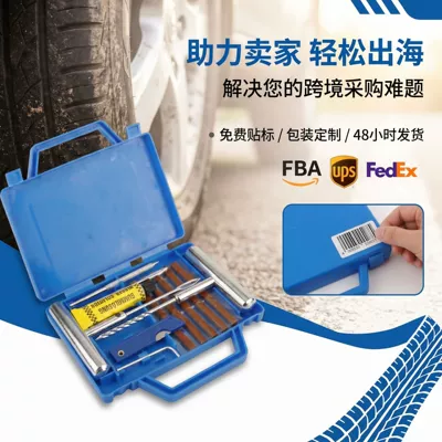 Repair kit: Tire Repair Tool Kit for