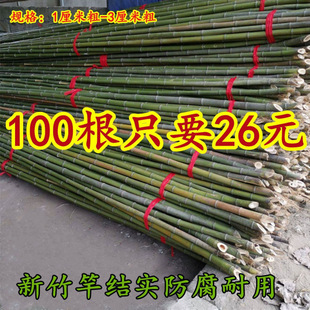 Bamboo Pole Large Wholesale Bamboo Pole Vegetable Garden Rack Bamboo Outdoor Flagpole Fence Cucumber Bean Climbing Vine Rack
