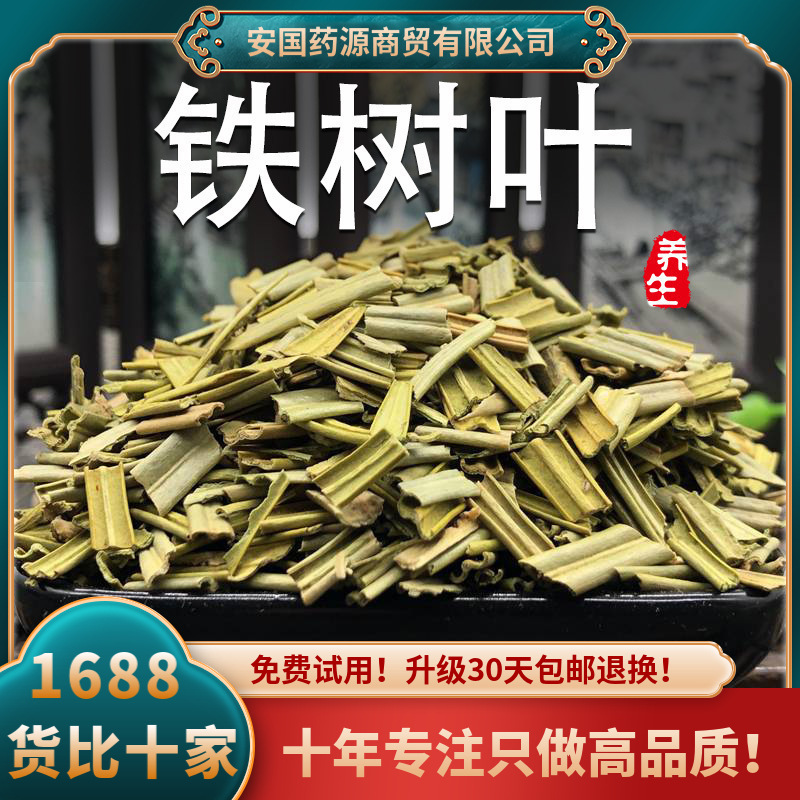 铁树叶中药500克干铁树叶苏铁叶非野生新货搭半枝莲百白花蛇舌草