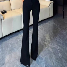 2026�����¿�����@���@���L΢�����bŮѝ���������R��ѝ